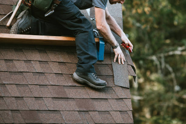 Best Metal Roofing Contractor  in Bayport, MN